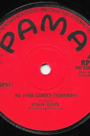 Price Drop No More Lonely Teardrops / My Mama Told Me
