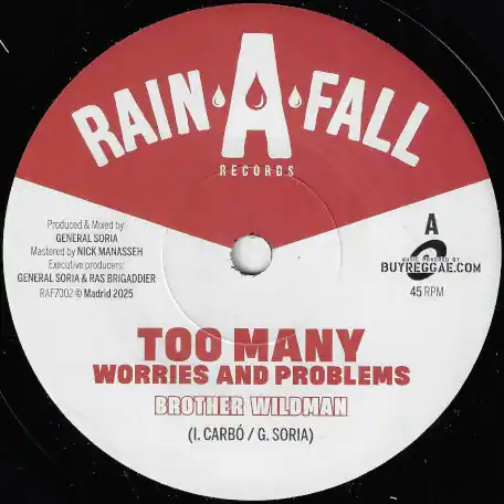Too Many Worries And Problems / Dub Version Factory Price