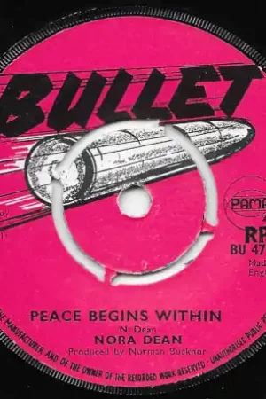Peace Begins Within / Go Back Home Premium