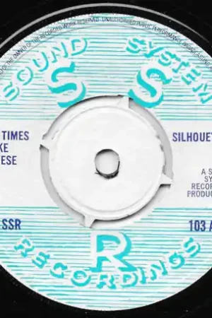 Secure Checkout In Times Like These / Instrumental
