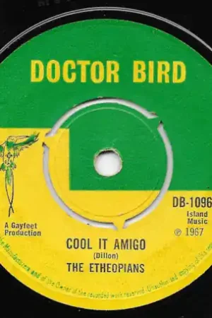 Order Now The Whip / Cool It Amigo