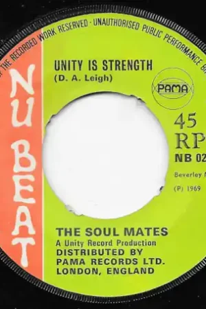 Fast Shipping Rescue Me / Unity Is Strength Actually The Devils Playground
