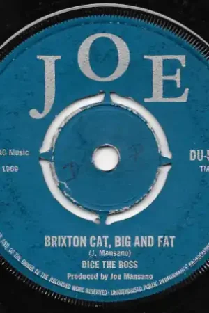 Budget Brixton Cat, Big And Fat / Solitude