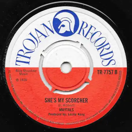 Water Melon / She's My Scorcher Seasonal Sale