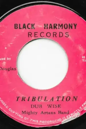 Rough Tribulation / Tribulation Dub Wise Budget
