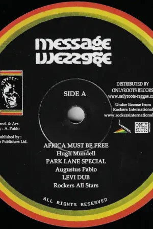Professional Grade Africa Must Be Free / Park Lane Special / Levi Dub / Africa 1983 / Afr