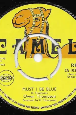 Must I Be Blue / Blue Version Free Shipping