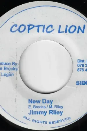 Secure Checkout New Day / Steper Dub