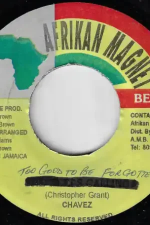 Authentic Too Good To Be Forgotten / Ver
