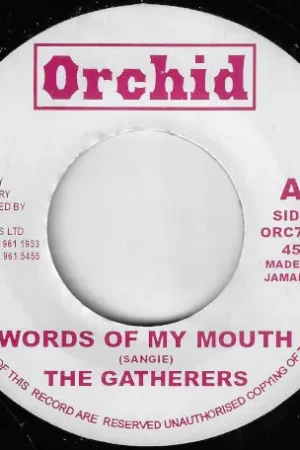 Words Of My Mouth / Word A Mouth Dub In Demand