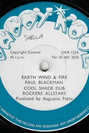 Hassle-Free Returns Earth Wind And Fire / Cool Shade Dub / Ras Menelik Congo (Harp)