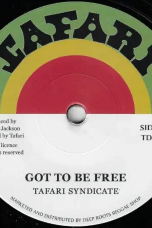 Top Rated Got To Be Free / Recession Dub