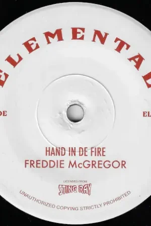 Secure Checkout Hand In De Fire / Lava Dub