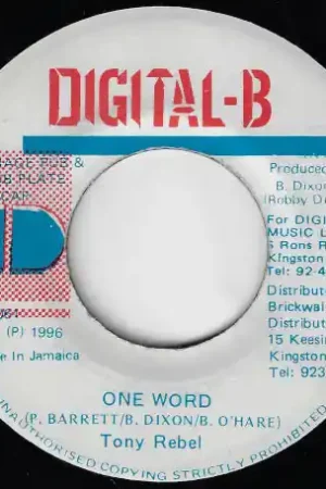 Don’t Miss Out One Word / Version Mix Two