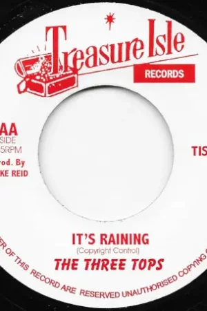 Things You Say You Love / It's Raining Bulk Order