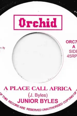 A Place Call Africa / Ver One Day Deal