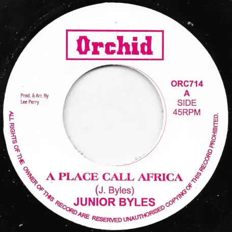 A Place Call Africa / Ver One Day Deal