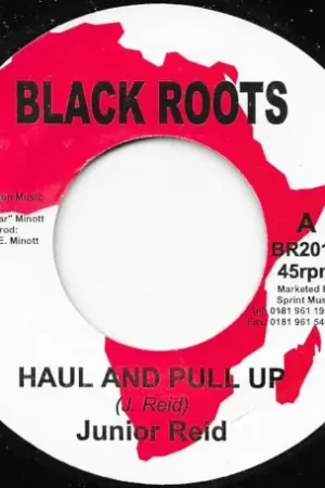 Haul And Pull Up / Live And Love In Unity Limited Time