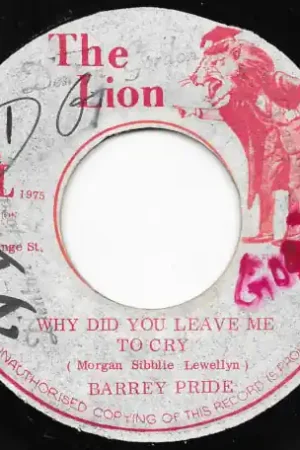 Editor’s Pick Why Did You Leave Me To Cry / Why Did You Ver
