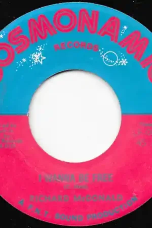 Big Sale I Wanna Be Free / Dub In Phase
