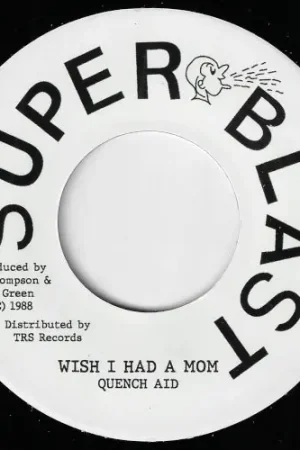 Seasonal Sale Wish I Had A Mom / Ver