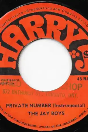 Private Number / Instrumental Limited Edition
