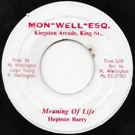 Meaning Of Life / Jockey Skank New Release