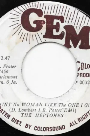 Ain't No Woman Like The One I Got / Soul Woman Fast Shipping