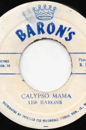 Big Sale Barb Wire / Calypso Mama