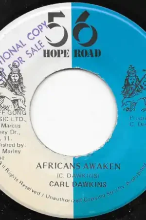 Africans Awaken / Awake Super Sale