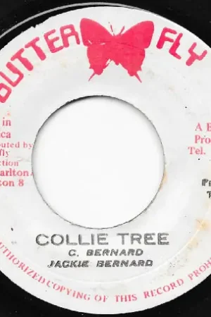 Money Back Guarantee Collie Tree / Collie Version