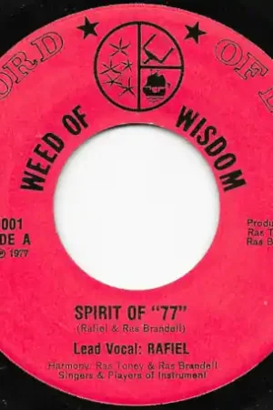 Spirit Of 77 / Inst Best Seller