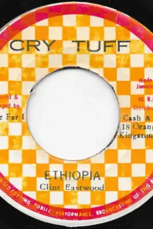 Ethiopia / Crucial Dub Warranty Included