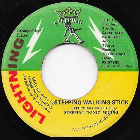 Stepping Walking Stick / Humble Lion Direct From Factory
