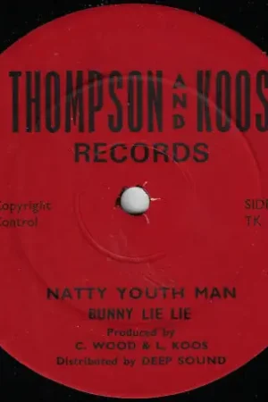Natty Youth Man / What You Gonna Do When Jah Jah Comes Reduced Price