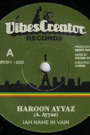 Jah Name In Vain / Dub Ver Best Price