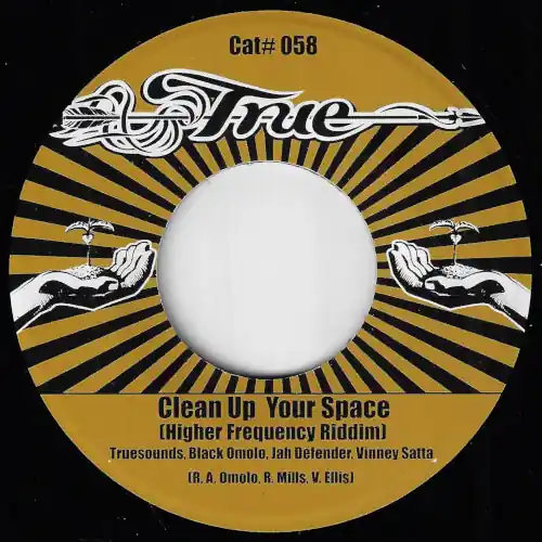 Clean Up Your Space (Higher Frequency Riddim) / Dub Up Your Space Mix Last Chance