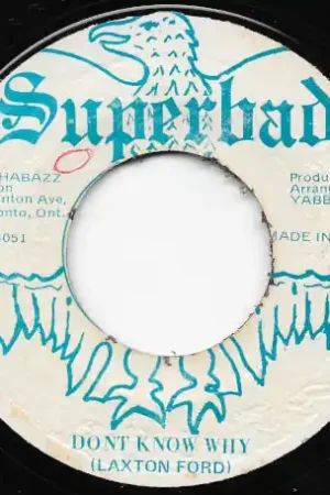 Authentic Don't Know Why / Ver