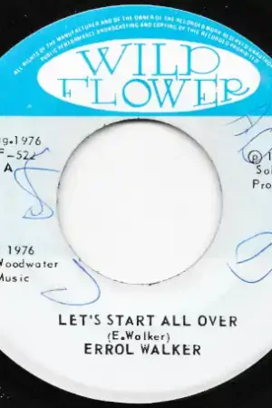 Authentic Let's Start All Over / Ver