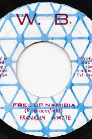 Professional Grade Free Up Namibia / Namibia Dub