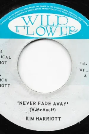 Never Fade Away / Dub Away Inst Next Day Delivery