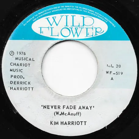 Never Fade Away / Dub Away Inst Next Day Delivery