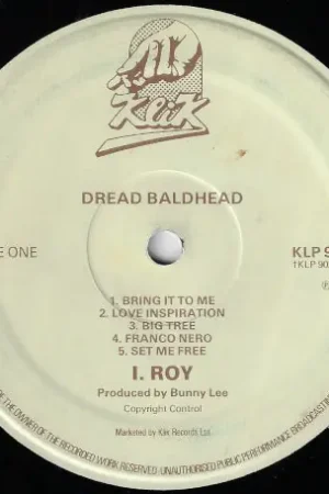 Dread Bald Head Best Choice