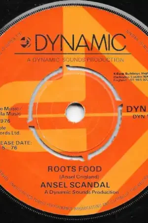 Roots Food / Dub Limited Offer
