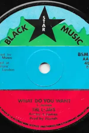 Ooh La La (Baby) / What Do You Want Must Have