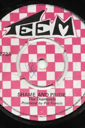 Shame And Pride / Pride Version Super Sale
