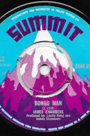 Bongo Man / Now I Know Best Choice
