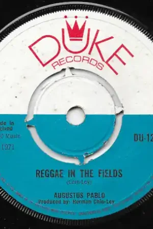 Mega Sale Reggae In The Fields / Aquarius 2