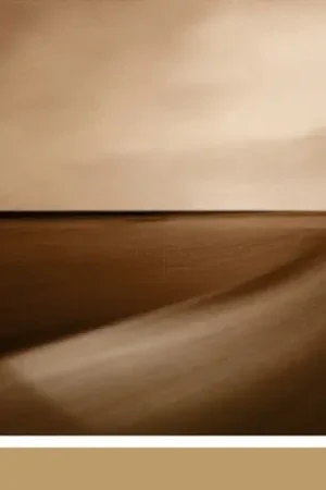Best Seller Brian Eno With Jon Hopkins & Leo Abrahams - Small Craft On A Milk Sea (2xLP)