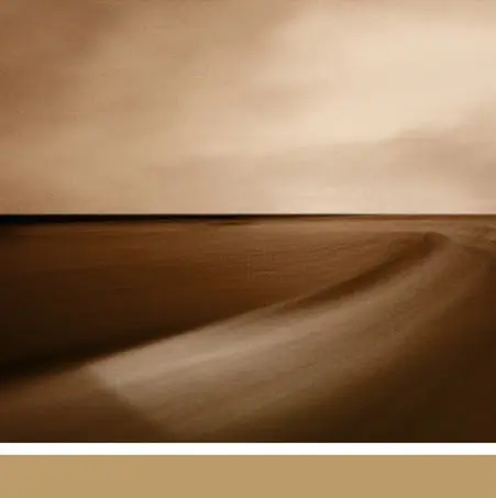 Best Seller Brian Eno With Jon Hopkins & Leo Abrahams - Small Craft On A Milk Sea (2xLP)